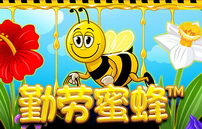 YOULE530:COM-WWW:YOULE530:COM